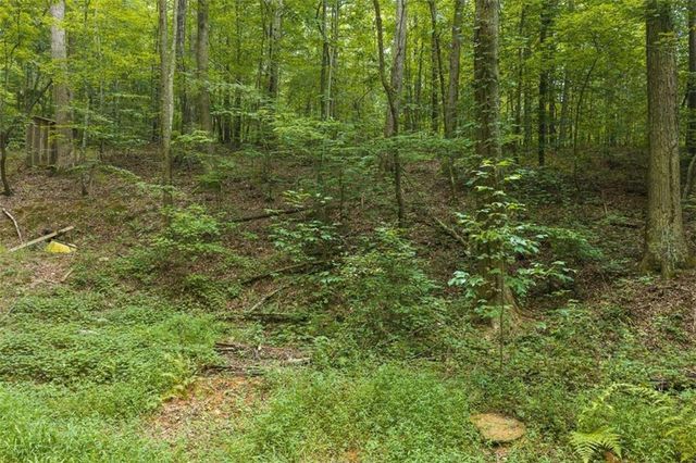 300 Sumac Lane, Ellijay, GA 30540