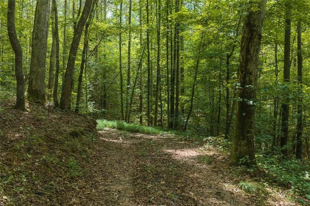 300 Sumac Lane, Ellijay, GA 30540