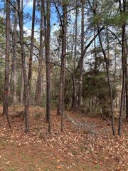 210 Twinstone Drive, Coldspring, TX 77331