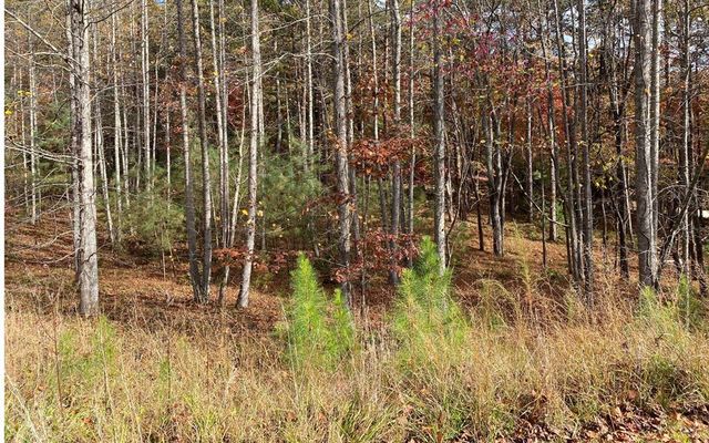 LOT 132 Fox Ridge, Blairsville, GA 30512