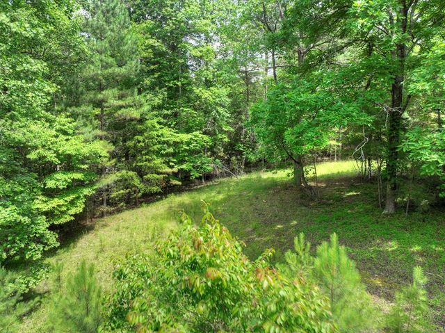 LOT 132 Fox Ridge, Blairsville, GA 30512