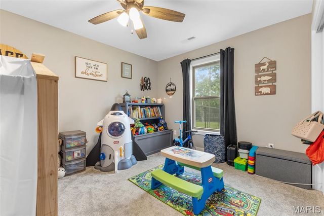 219 W Mont Carmel Street, Bonne Terre, MO 63628