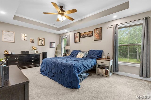 219 W Mont Carmel Street, Bonne Terre, MO 63628