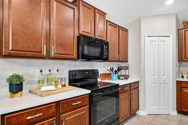 3716 CAT MINT STREET, Tampa, FL 33619