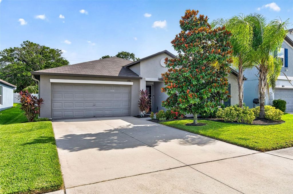 3716 CAT MINT STREET, Tampa, FL 33619