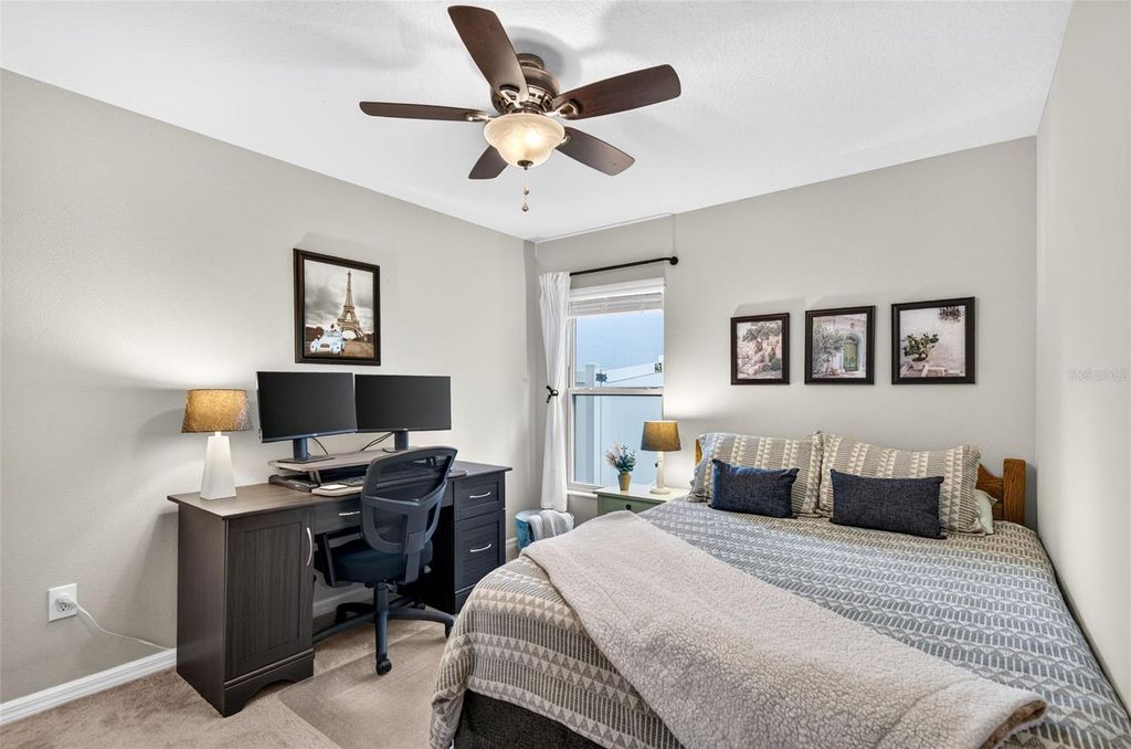 Image 17 of property listing at 3716 CAT MINT STREET, Tampa, FL 33619