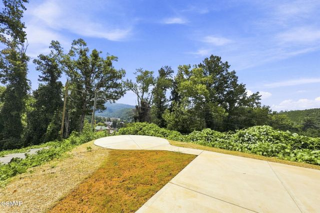 245 Brownsridge Road, Gatlinburg, TN 37738