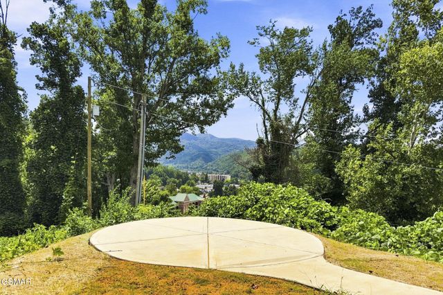 245 Brownsridge Road, Gatlinburg, TN 37738