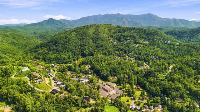 245 Brownsridge Road, Gatlinburg, TN 37738