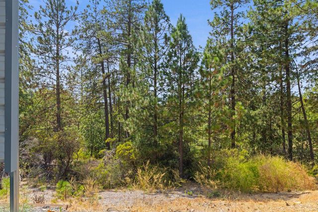 90 Edelweiss Lane, Applegate, CA 95703