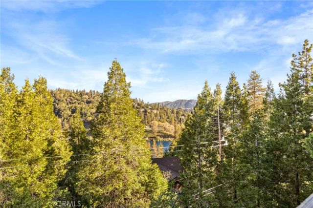 737 Bergschrund Drive, Crestline, CA 92325