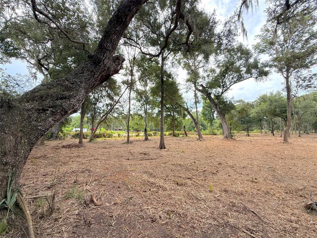 Lot 12A2 Cr 345, Brazoria, TX 77422