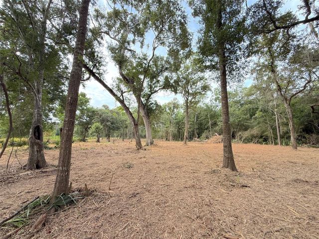 Lot 12A2 Cr 345, Brazoria, TX 77422