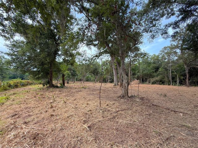 Lot 12A2 Cr 345, Brazoria, TX 77422