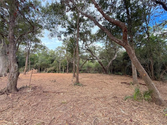 Lot 12A2 Cr 345, Brazoria, TX 77422