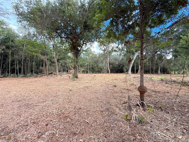 Lot 12A2 Cr 345, Brazoria, TX 77422