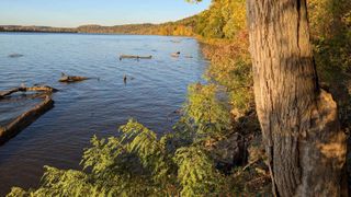 0 Ky-1992, Warsaw, KY 41095