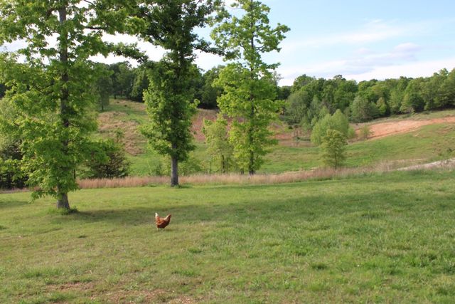 9294 Sugar Road, Harrison, AR 72601