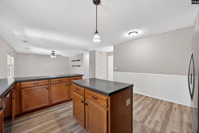 224 Walkbridge Way, Chapin, SC 29036