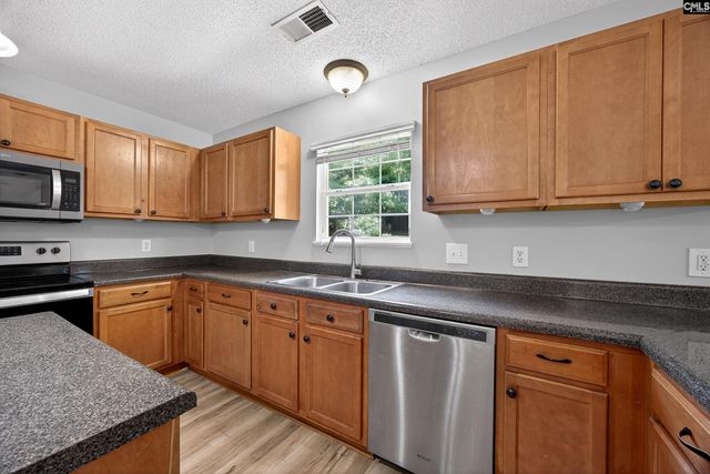 224 Walkbridge Way, Chapin, SC 29036