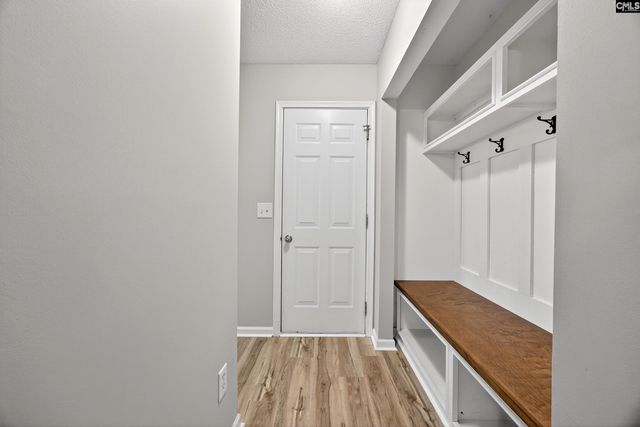 224 Walkbridge Way, Chapin, SC 29036