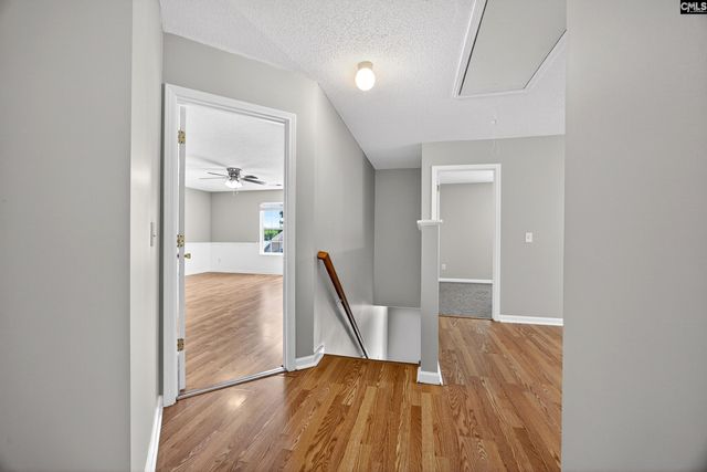 224 Walkbridge Way, Chapin, SC 29036