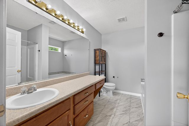 224 Walkbridge Way, Chapin, SC 29036