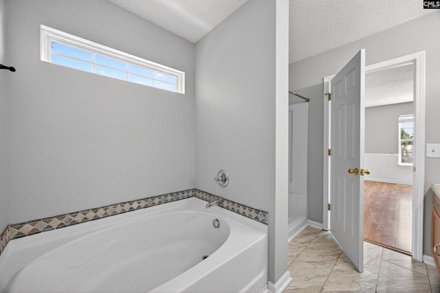 224 Walkbridge Way, Chapin, SC 29036