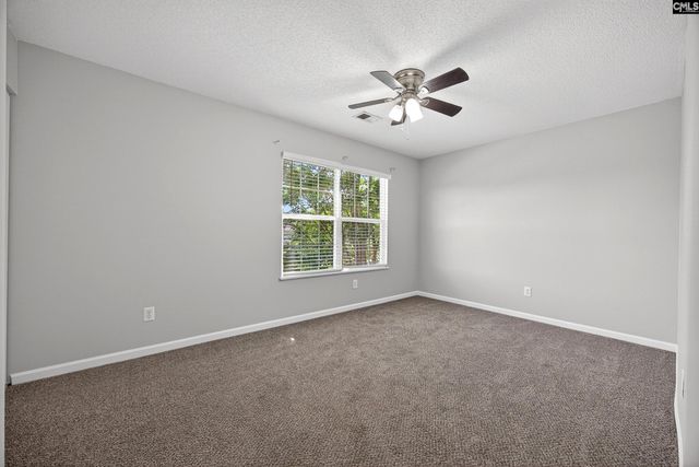 224 Walkbridge Way, Chapin, SC 29036