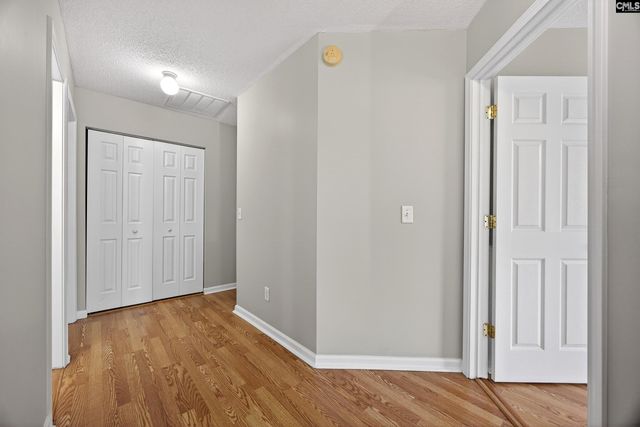 224 Walkbridge Way, Chapin, SC 29036