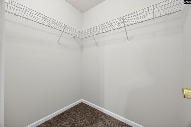 224 Walkbridge Way, Chapin, SC 29036