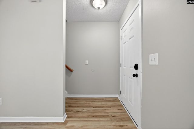 224 Walkbridge Way, Chapin, SC 29036