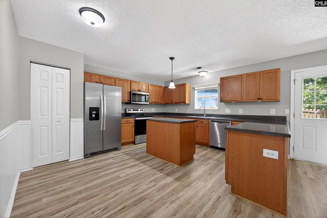 224 Walkbridge Way, Chapin, SC 29036