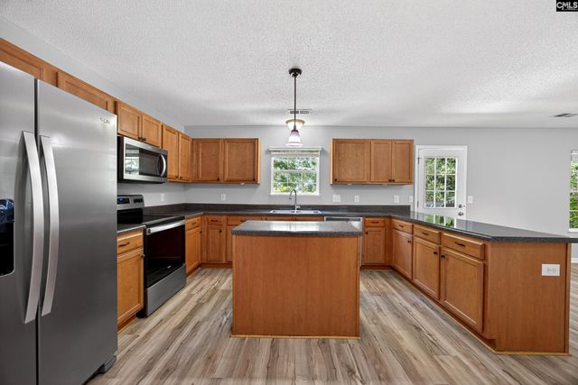 224 Walkbridge Way, Chapin, SC 29036