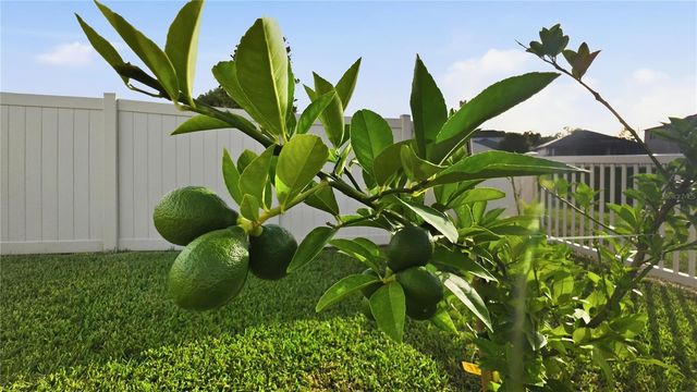 13471 NEWPORT SHORES DRIVE, Hudson, FL 34669