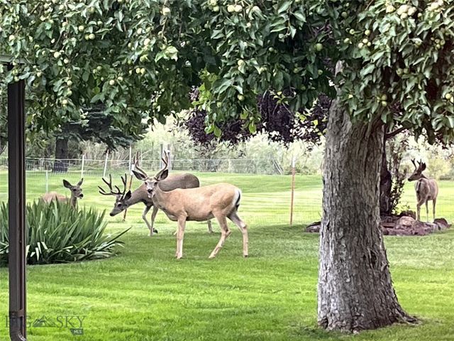 71 Seibold Lane, Cascade, MT 59421