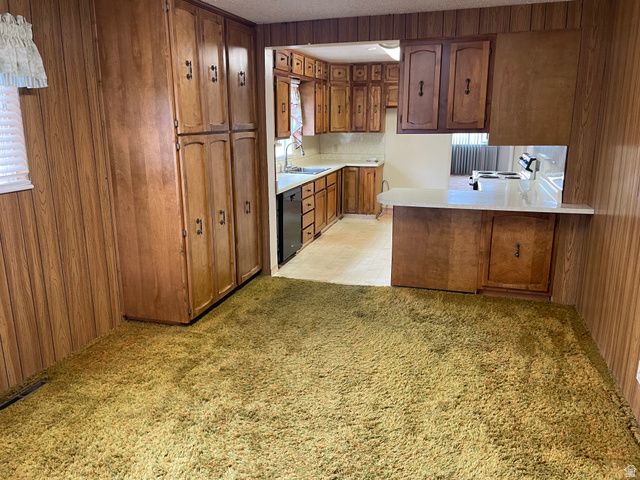 462 N 500 E, Roosevelt, UT 84066