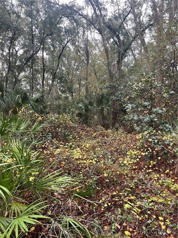 TBD SW Shorewood Drive, Dunnellon, FL 34431