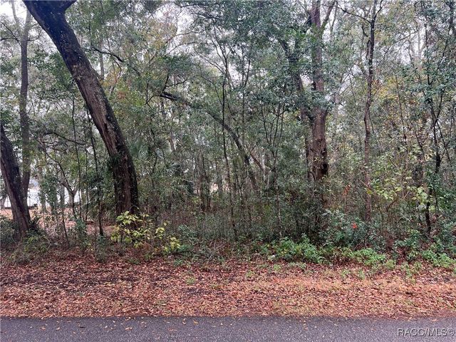 TBD SW Shorewood Drive, Dunnellon, FL 34431