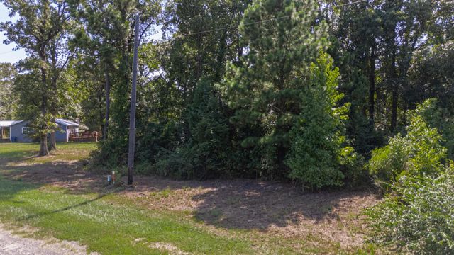 120 Paris Circle, Point Blank, TX 77364