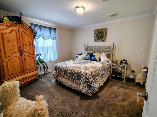 1912 CR 439C, Lake Panasoffkee, FL 33538