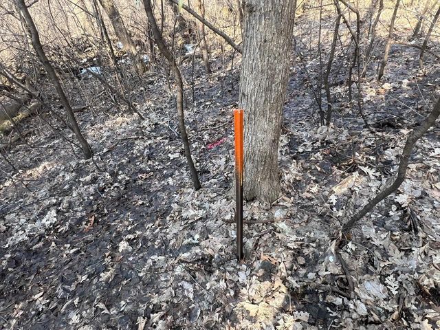 TBD Oakridge Street, Saint Paul, MN 55119