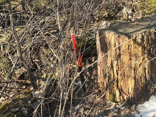 TBD Oakridge Street, Saint Paul, MN 55119