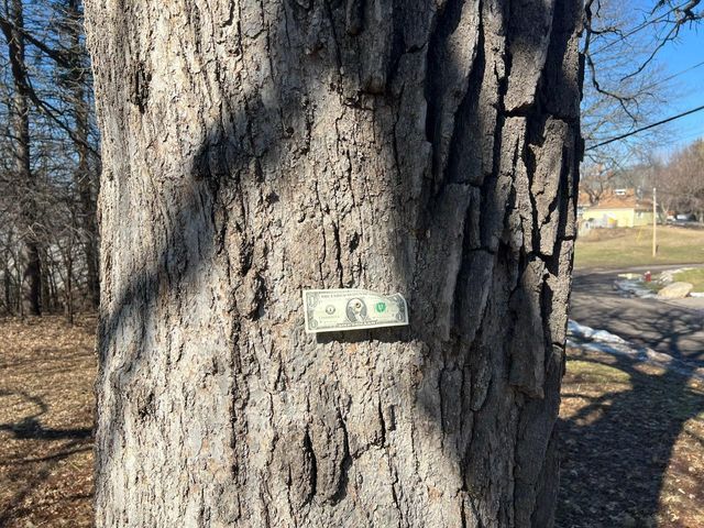 TBD Oakridge Street, Saint Paul, MN 55119