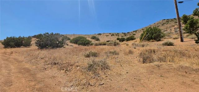 33805 Buffalo Ridge, Acton, CA 93510