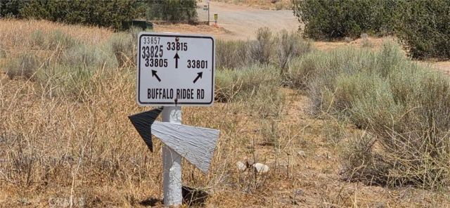 33805 Buffalo Ridge, Acton, CA 93510