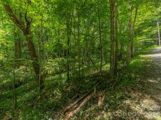 000 Rough Knob Road, Clyde, NC 28721