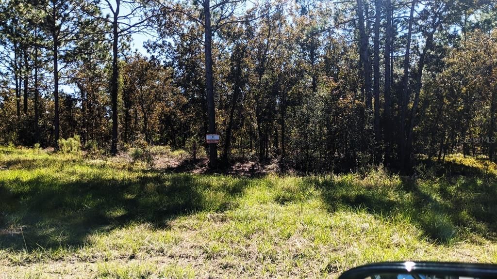 7781 SW 121ST TERRACE ROAD, Dunnellon, FL 34432
