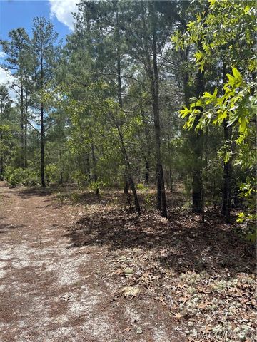 6520 N Redmond Court, Dunnellon, FL 34433