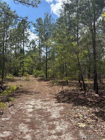 6520 N Redmond Court, Dunnellon, FL 34433